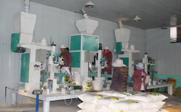 日產(chǎn)30噸玉米加工設(shè)備多少錢(qián)?點(diǎn)擊在線(xiàn)咨詢(xún)，即刻獲取優(yōu)惠報(bào)價(jià)